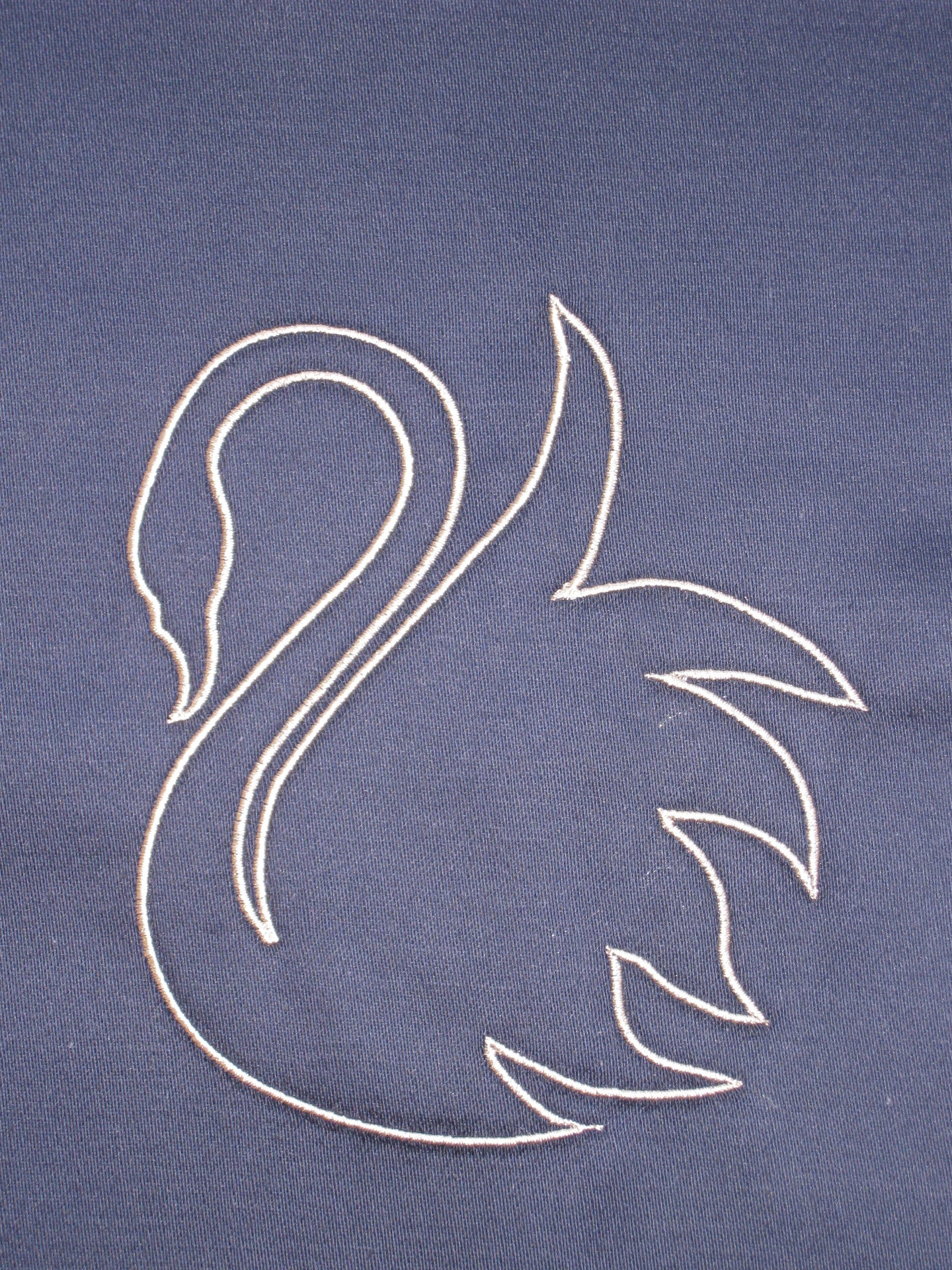 Swan